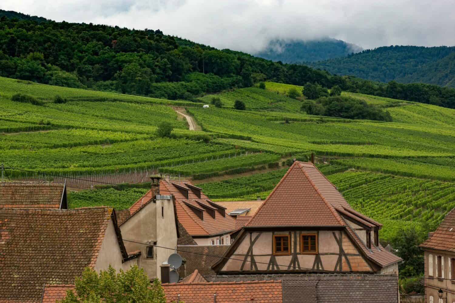 Village alsacien traditionnel aux maisons à colombages fleuries — plus beaux villages Alsace