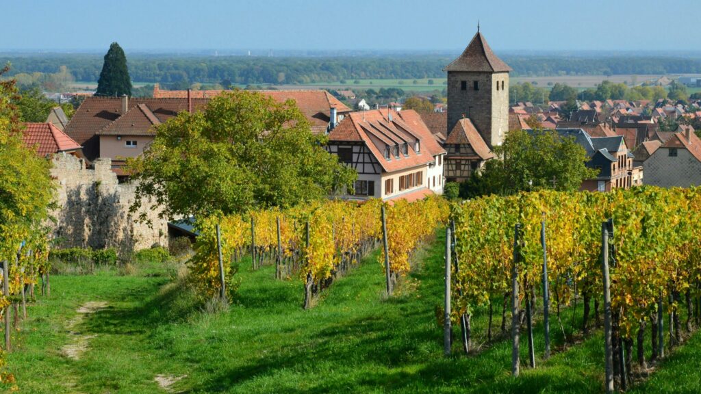 Découvrez ou loger en Alsace