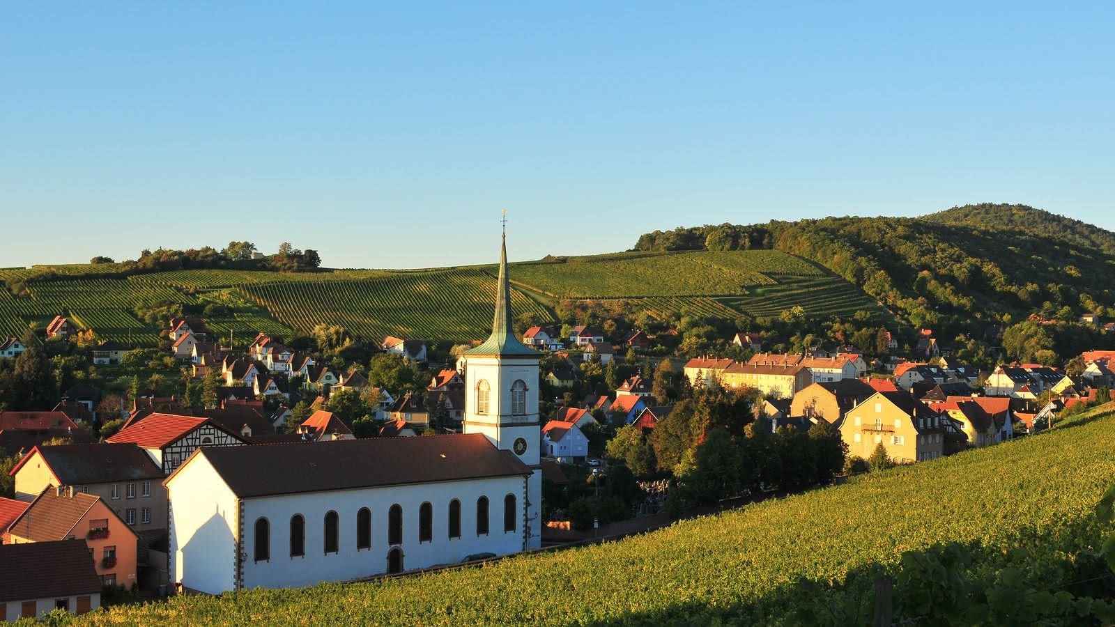 Barr, capitale viticole au pied des Vosges — Route des Vins Alsace