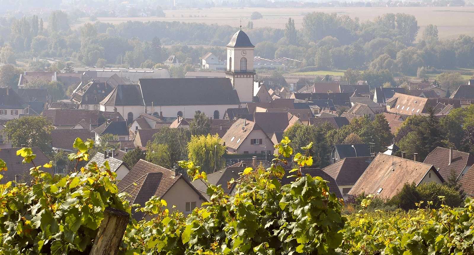 Visiter Marlenheim en Alsace : vignoble et porte d'entrée de la Route des Vins