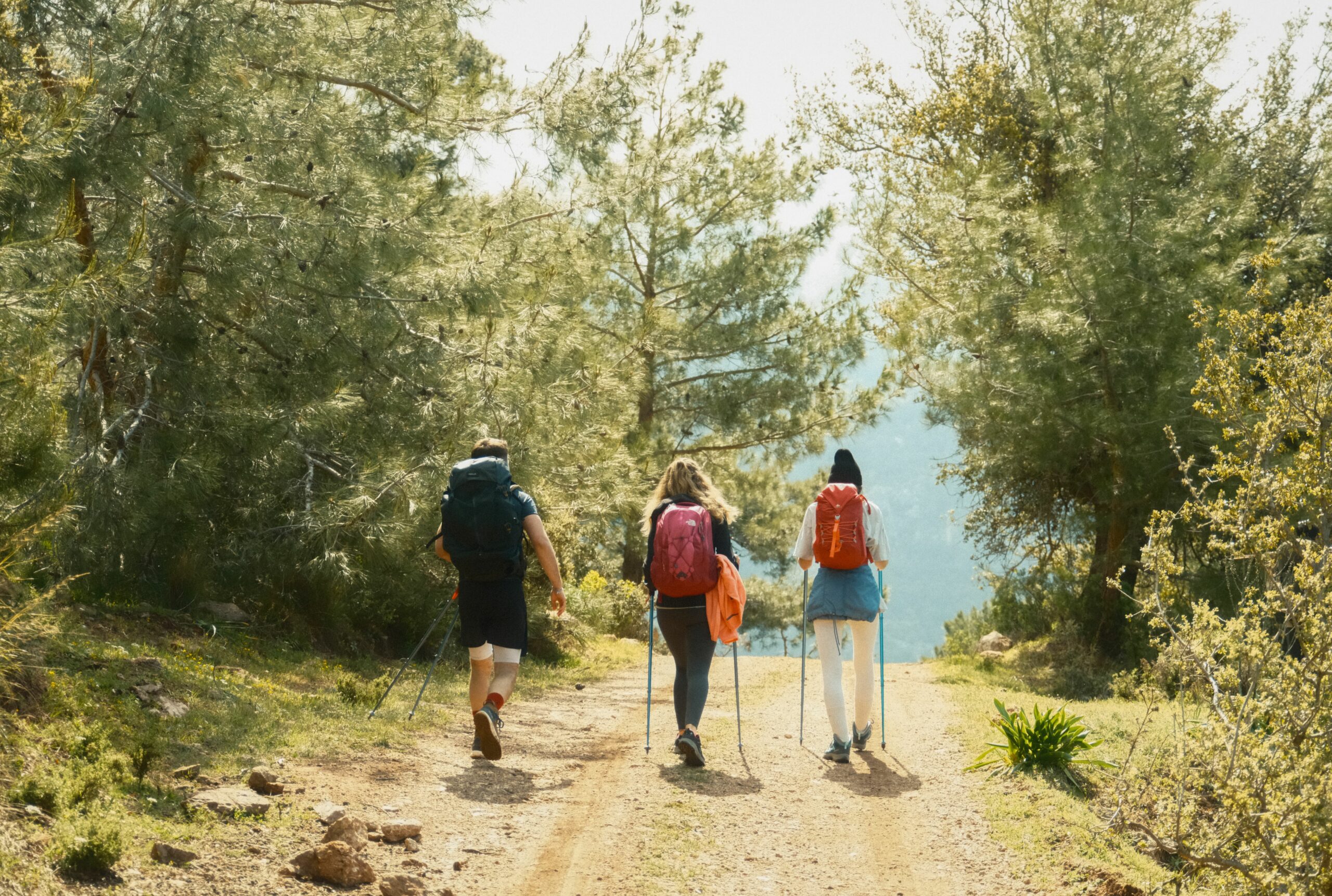 Sentier de randonnée en montagne, Vosges du Bas-Rhin Alsace