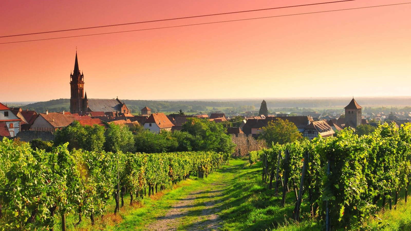 Dambach-la-Ville au coucher du soleil : le village médiéval entouré de son vignoble alsacien